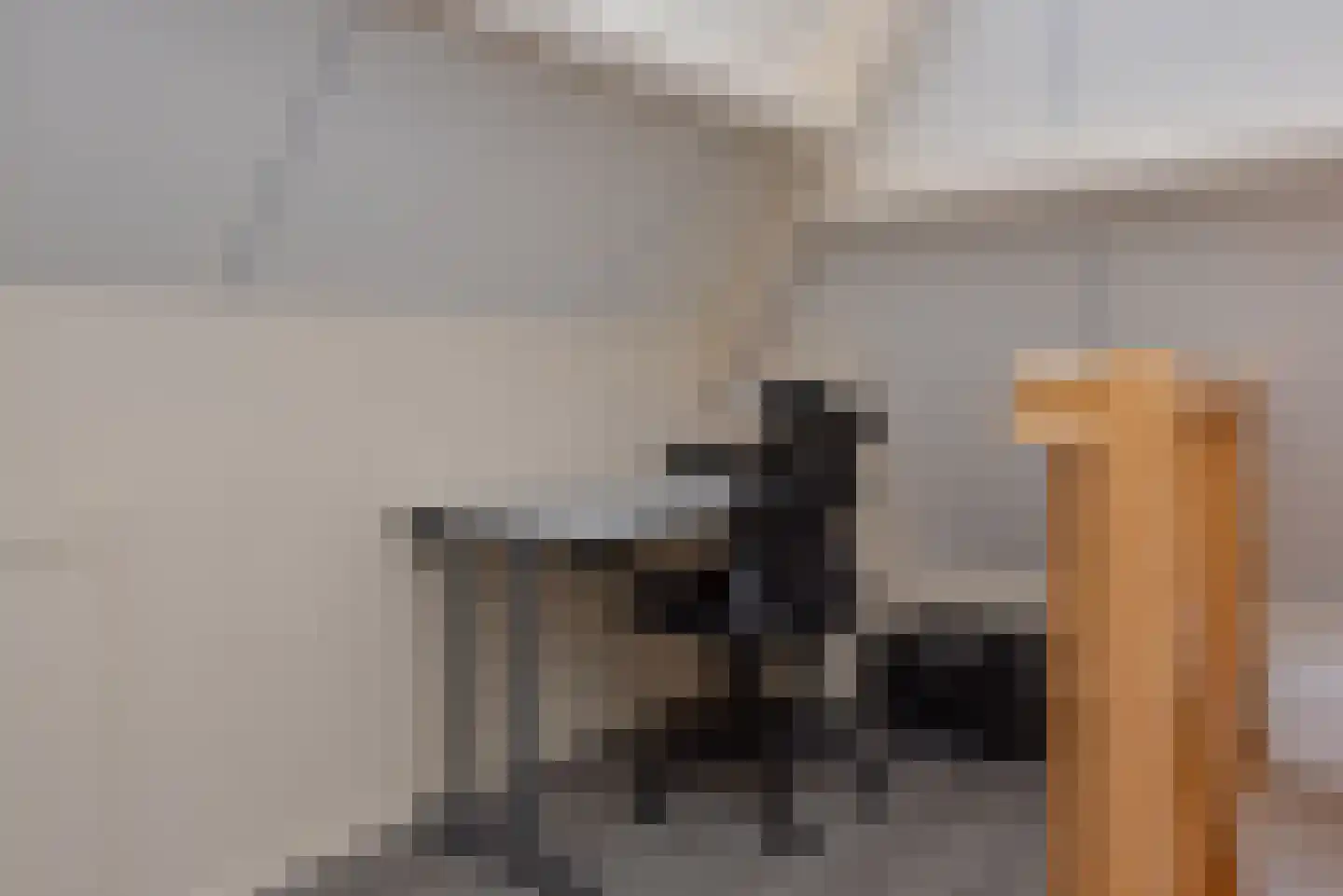 Zuideinderhof 12 Kamperveen thumbnail 45