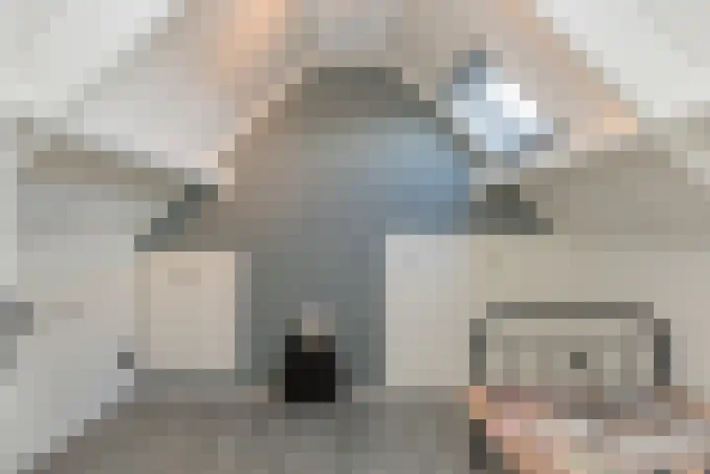 Zuideinderhof 12 Kamperveen thumbnail 47