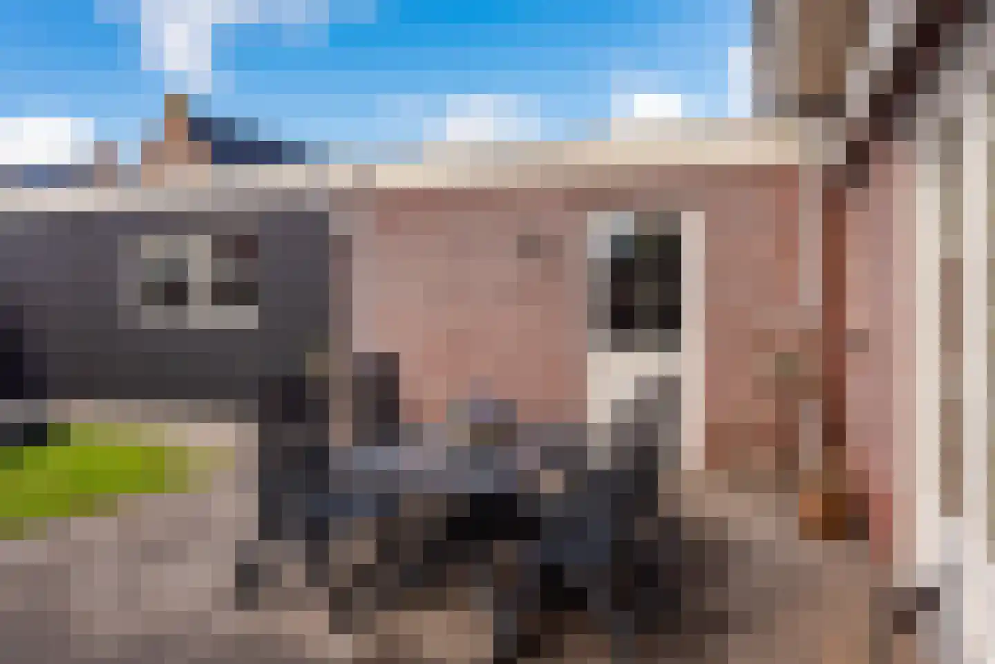 Zuideinderhof 12 Kamperveen thumbnail 57
