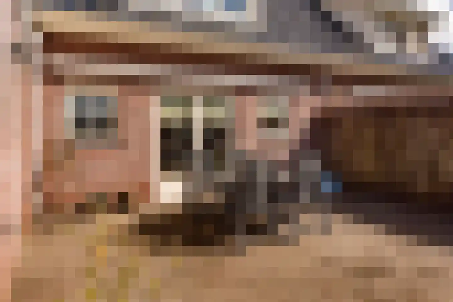 Zuideinderhof 12 Kamperveen thumbnail 61