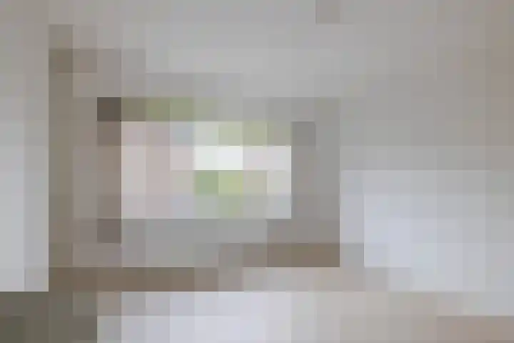 Zuideindseweg 13 Delfgauw thumbnail 19