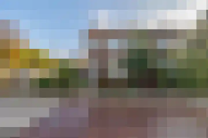 Zuideindseweg 13 Delfgauw thumbnail 29