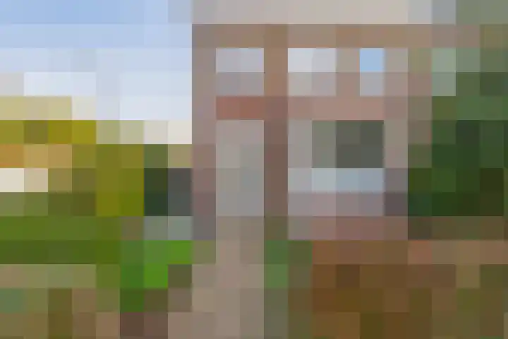 Zuideindseweg 13 Delfgauw thumbnail 30