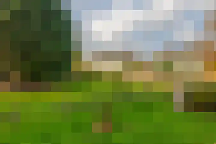 Zuideindseweg 13 Delfgauw thumbnail 32