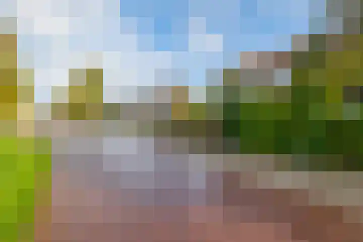 Zuideindseweg 13 Delfgauw thumbnail 35