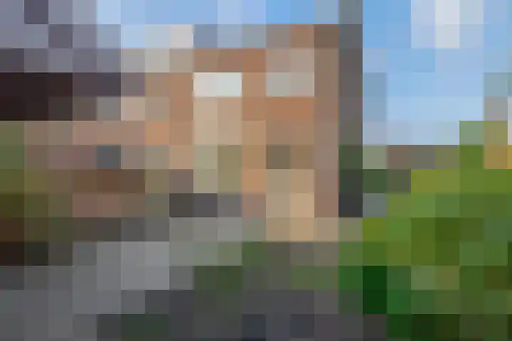 Zuideindseweg 13 Delfgauw thumbnail 8