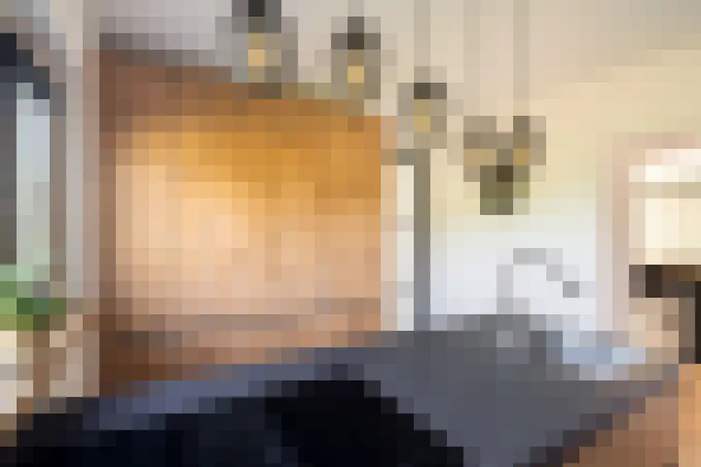 Zuideindseweg 35 Delfgauw thumbnail 13