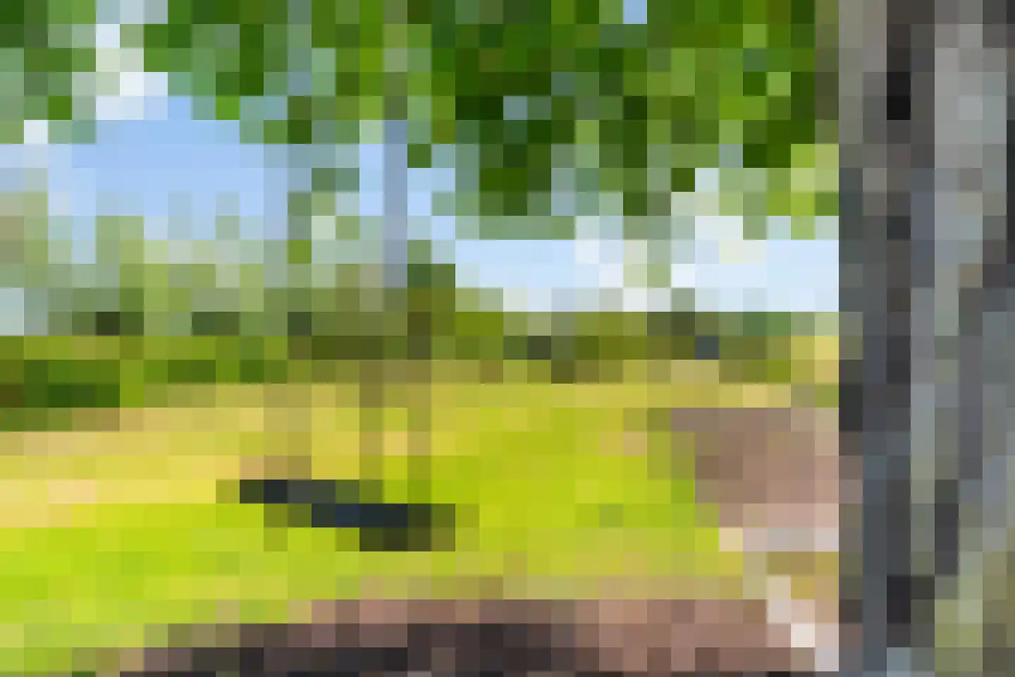 Zuideindseweg 35 Delfgauw thumbnail 40