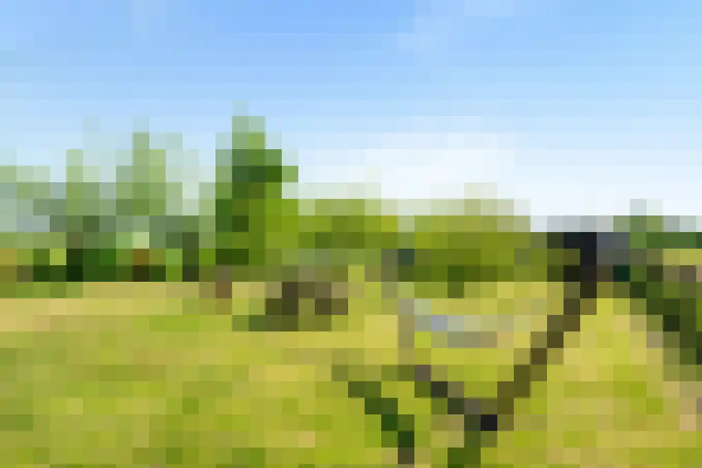 Zuideindseweg 35 Delfgauw thumbnail 41