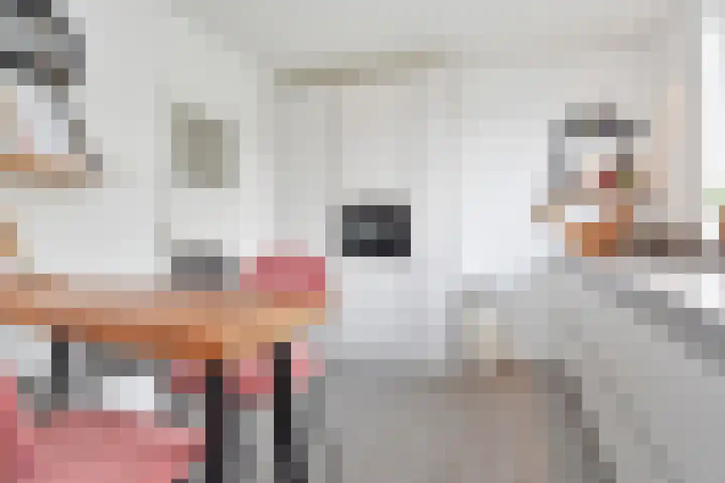 Zuideindseweg 62 Delfgauw thumbnail 11