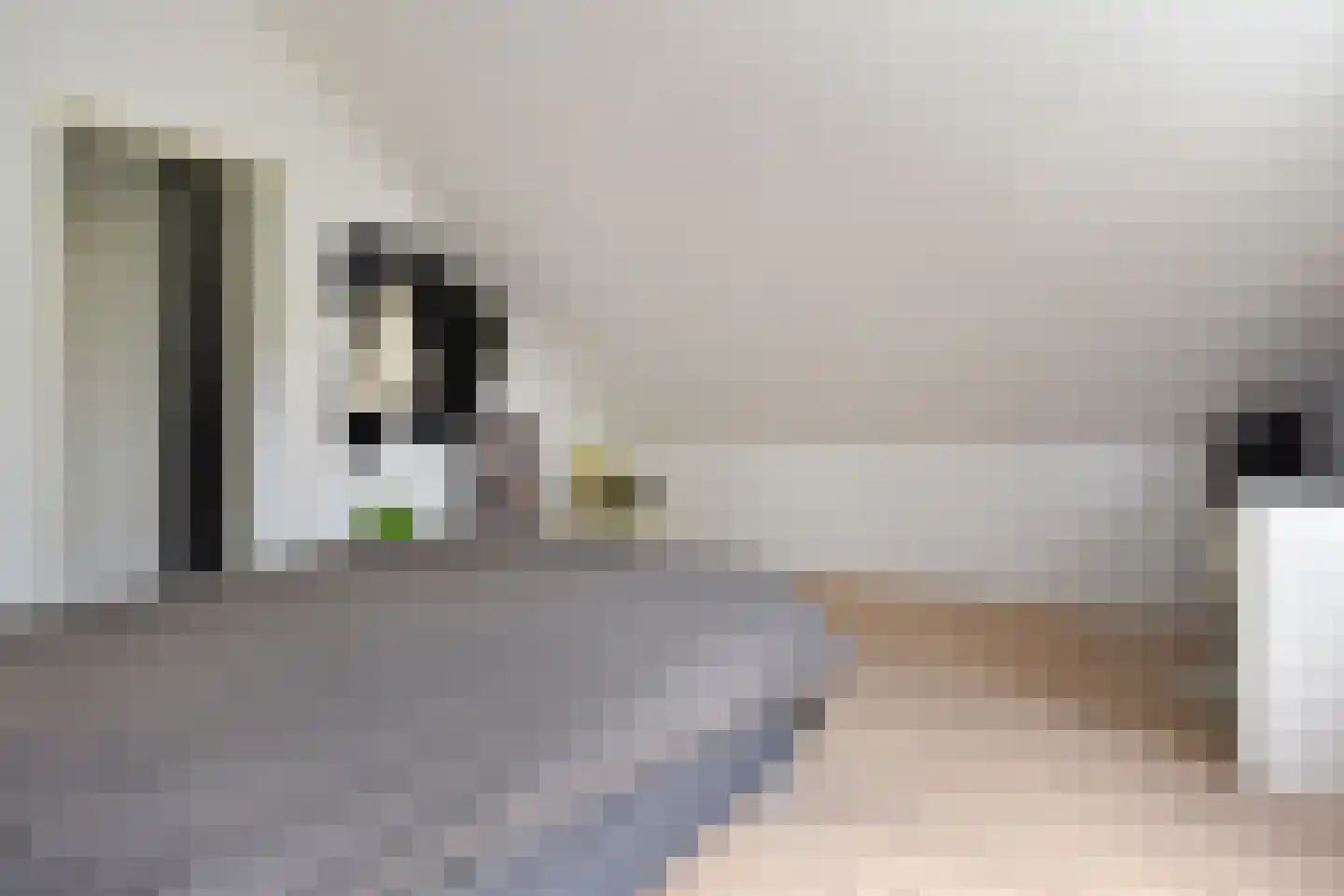 Zuideindseweg 62 Delfgauw thumbnail 19