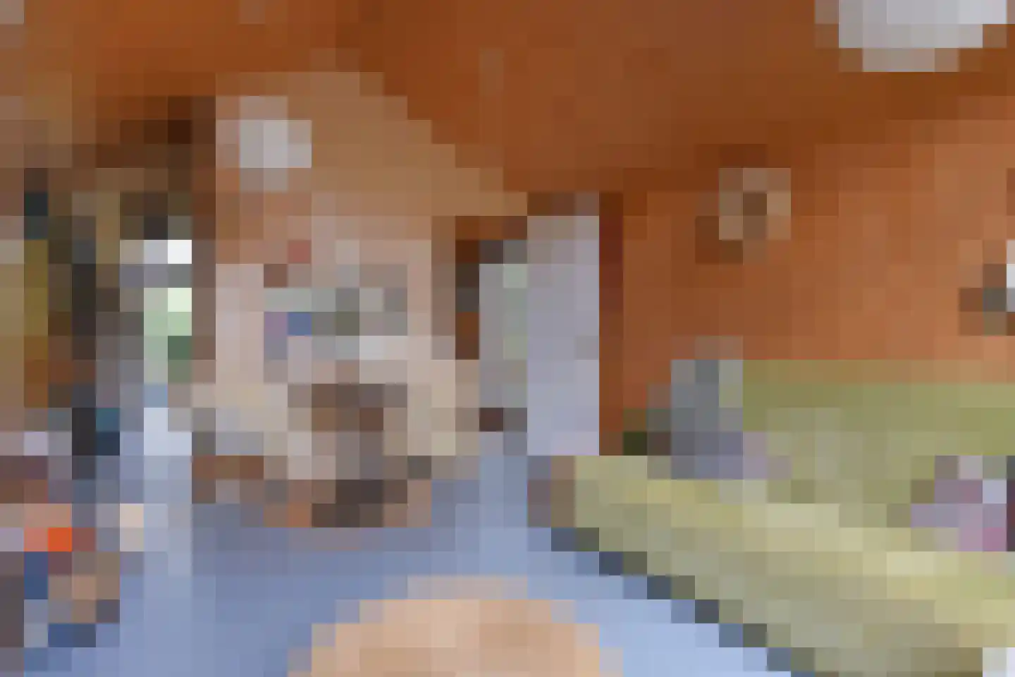 Zuideindseweg 62 Delfgauw thumbnail 22