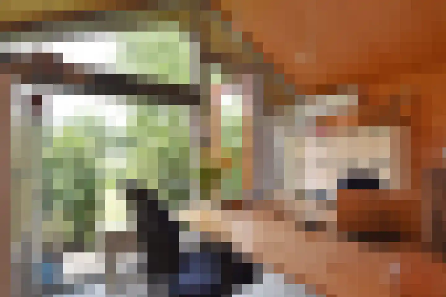 Zuideindseweg 62 Delfgauw thumbnail 23