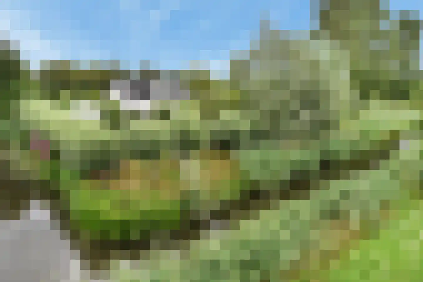 Zuideindseweg 62 Delfgauw thumbnail 26