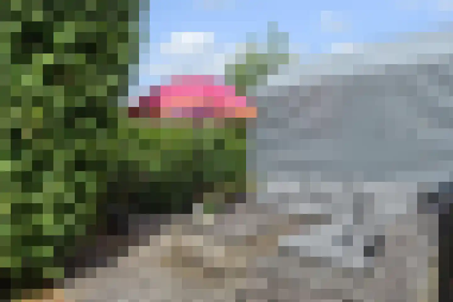Zuideindseweg 62 Delfgauw thumbnail 30