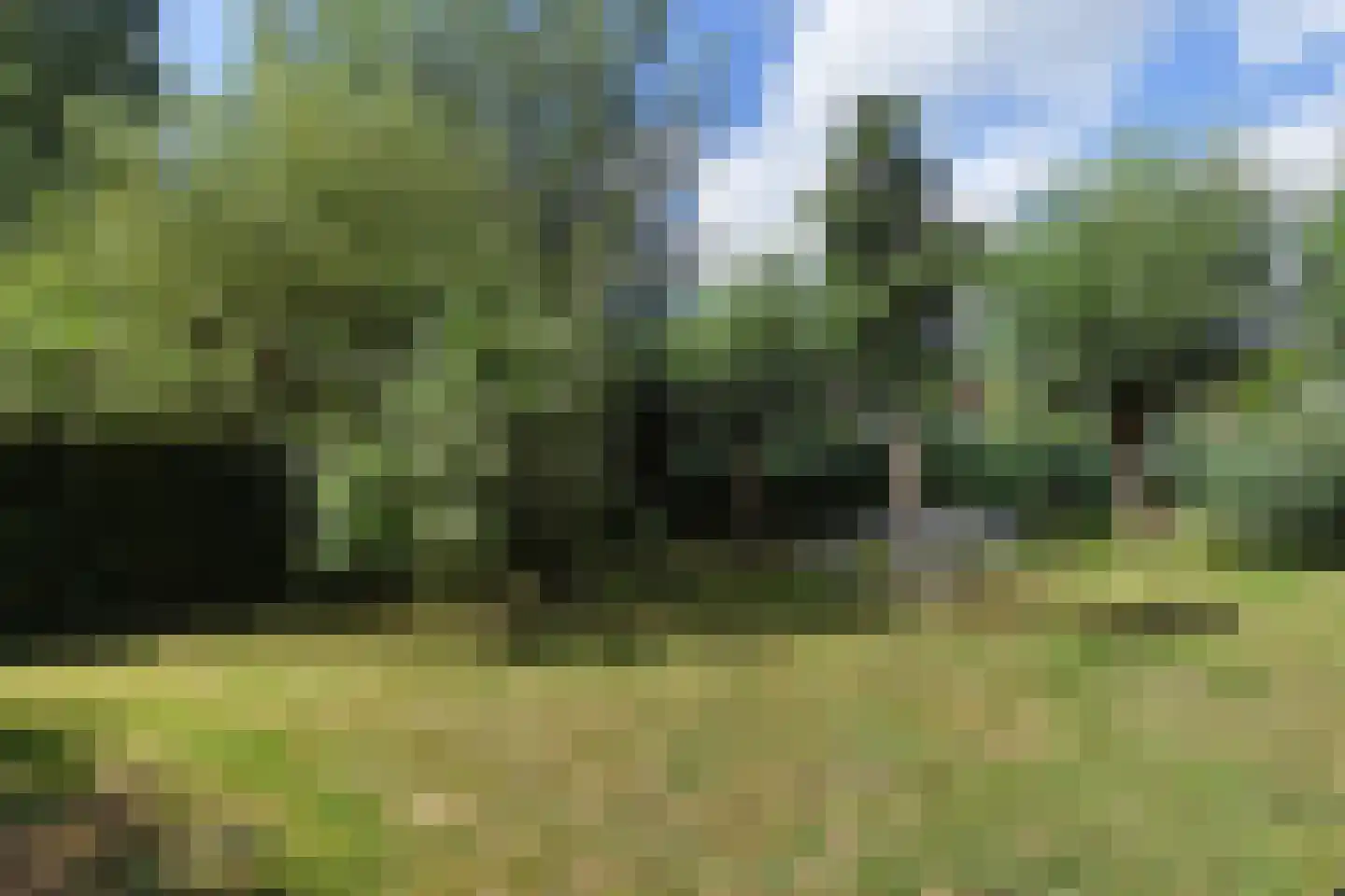 Zuideindseweg 62 Delfgauw thumbnail 31