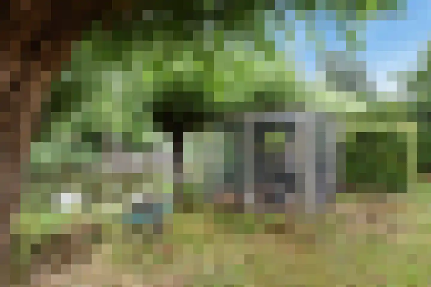 Zuideindseweg 62 Delfgauw thumbnail 32