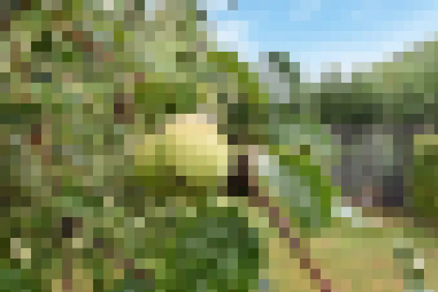 Zuideindseweg 62 Delfgauw thumbnail 33