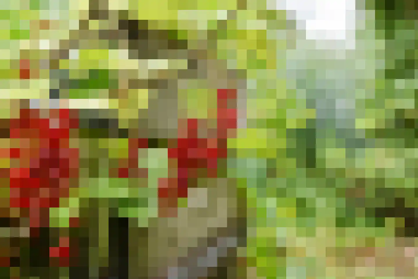 Zuideindseweg 62 Delfgauw thumbnail 37