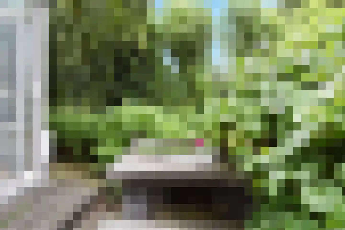 Zuideindseweg 62 Delfgauw thumbnail 38