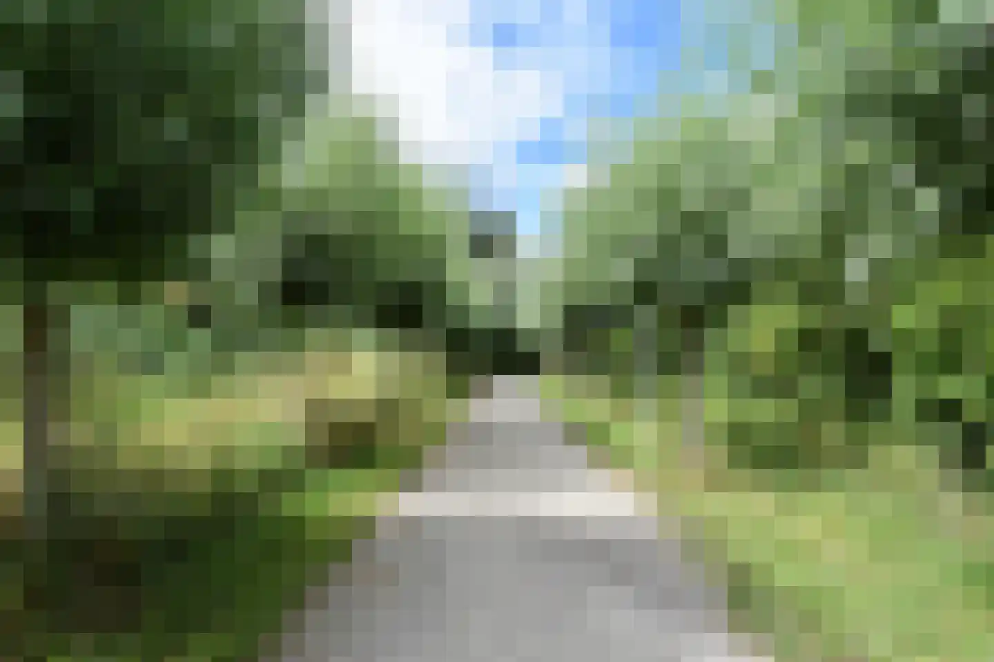 Zuideindseweg 62 Delfgauw thumbnail 4