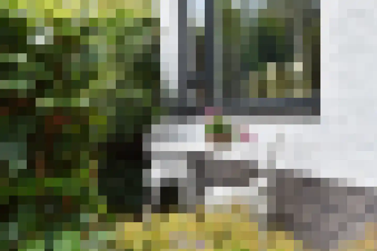 Zuideindseweg 62 Delfgauw thumbnail 41
