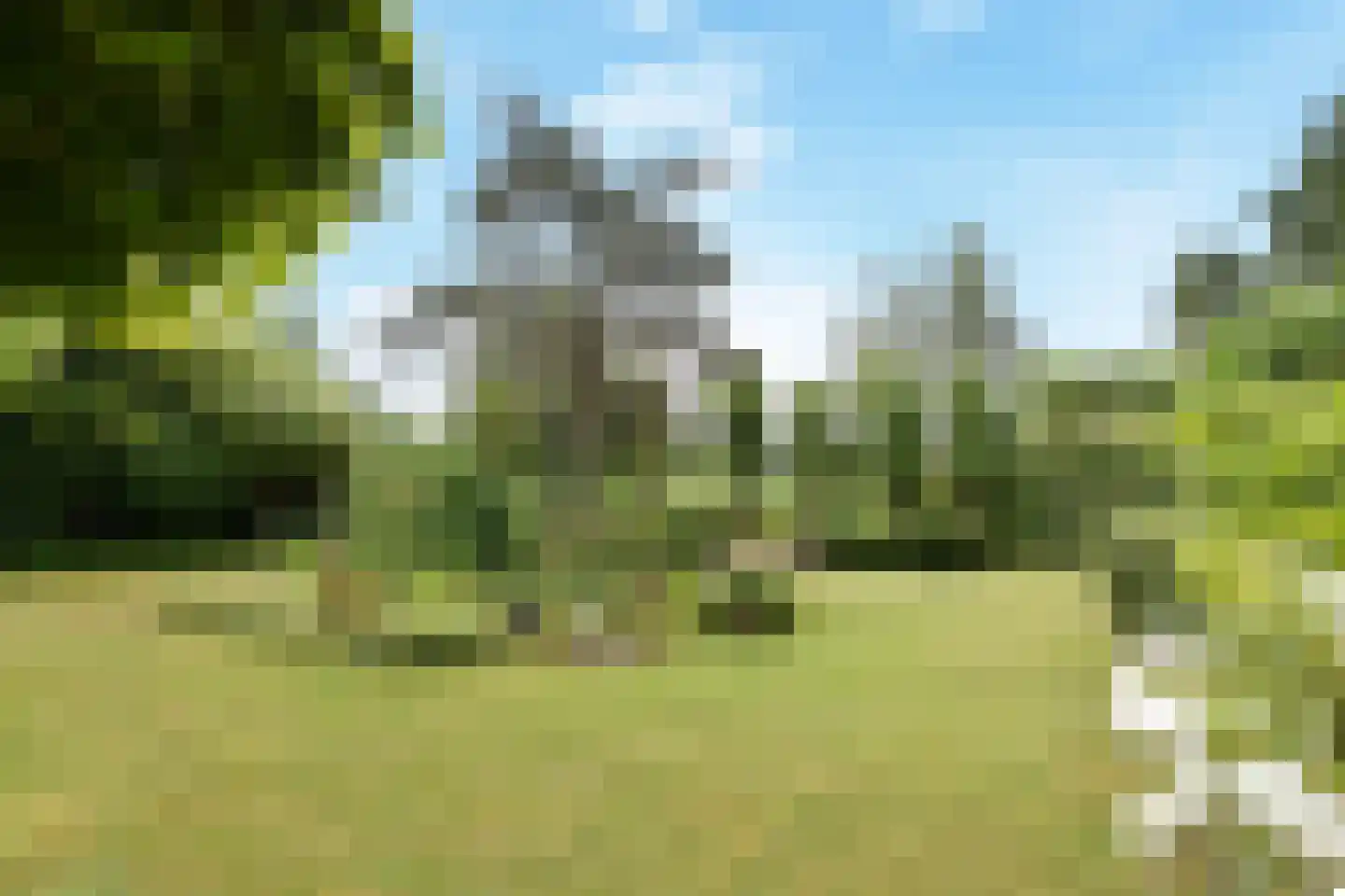 Zuideindseweg 62 Delfgauw thumbnail 42