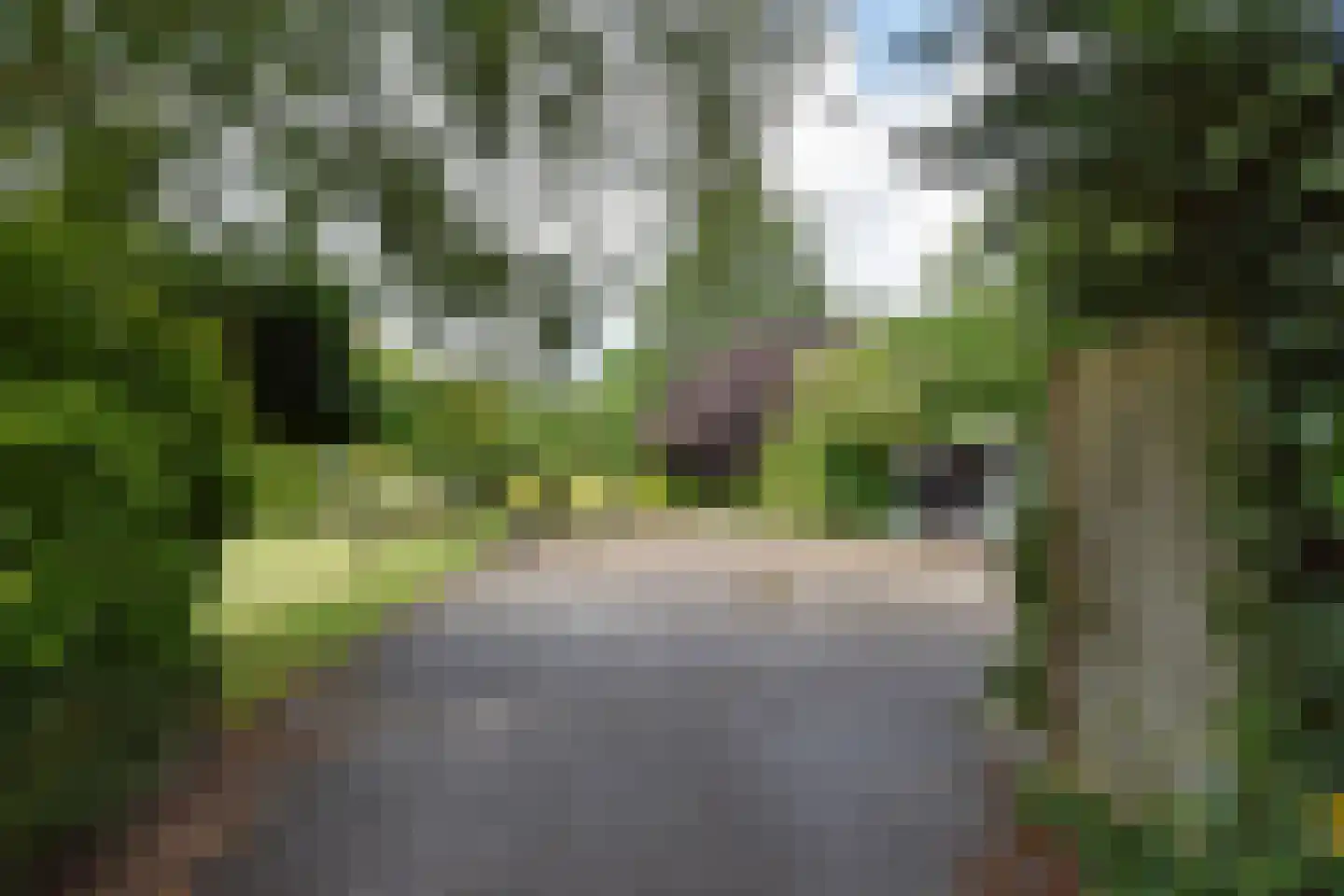 Zuideindseweg 62 Delfgauw thumbnail 43