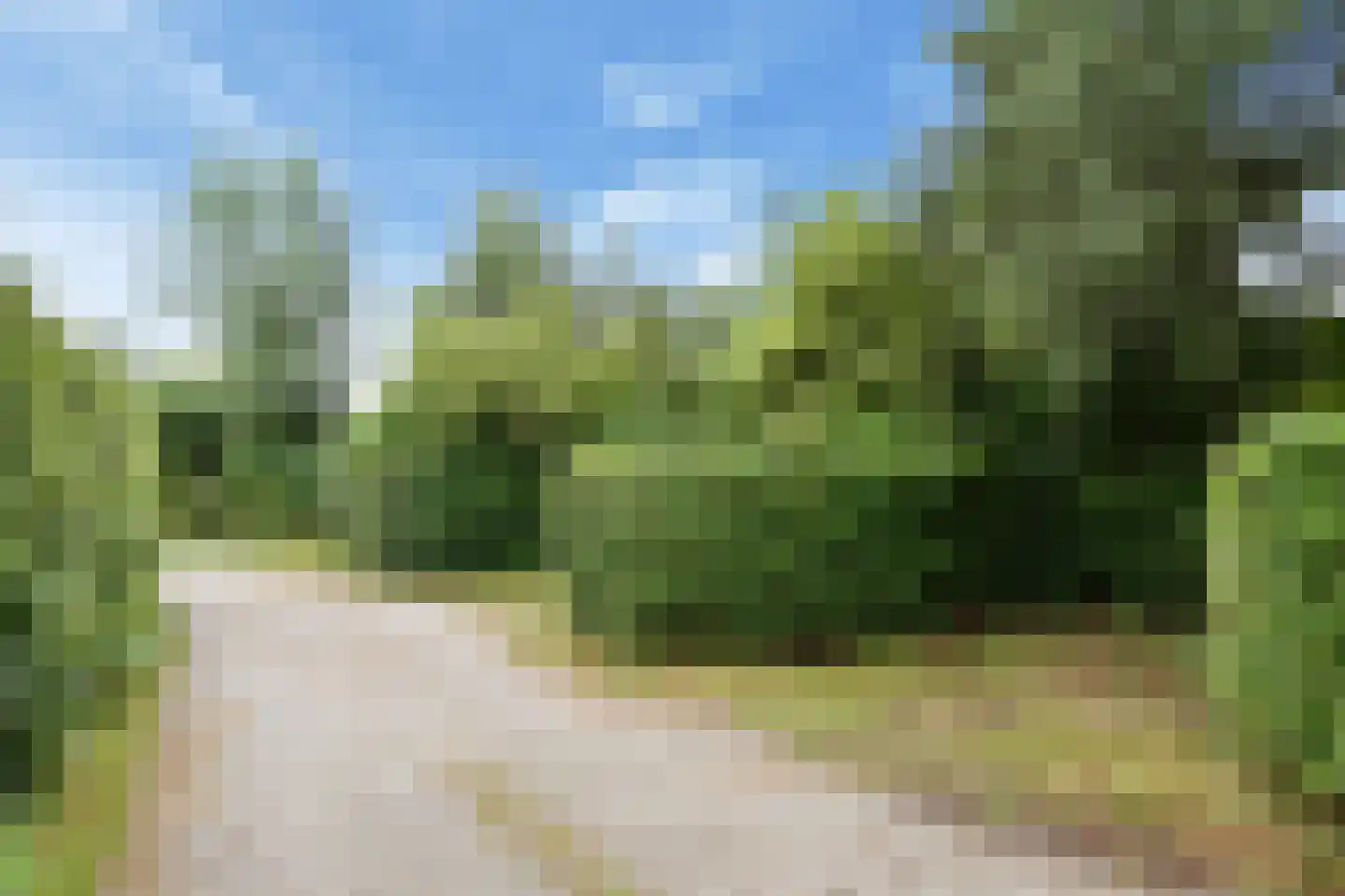 Zuideindseweg 62 Delfgauw thumbnail 44