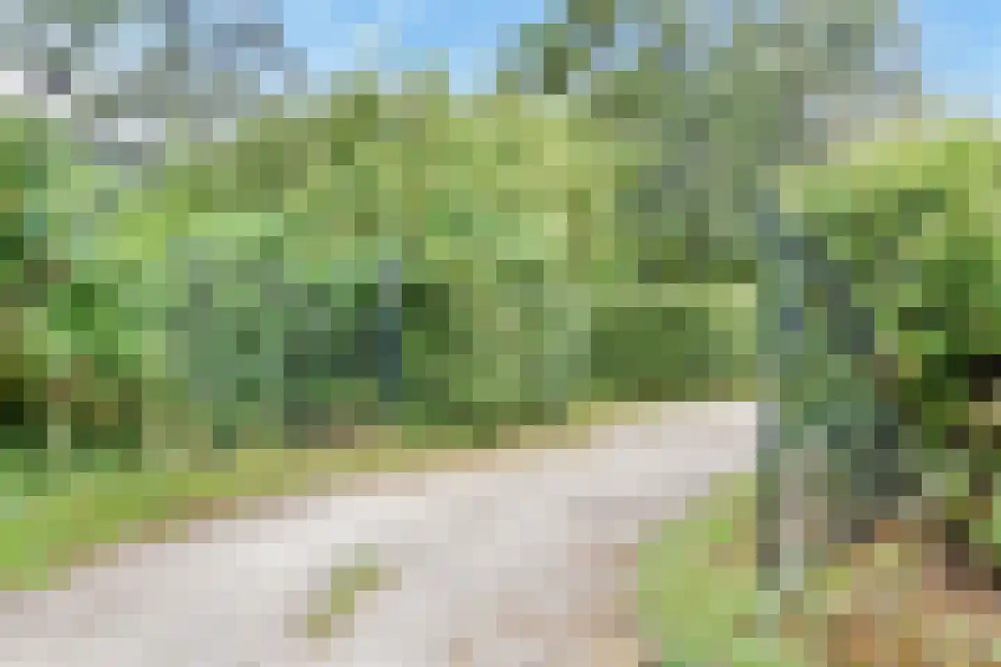 Zuideindseweg 62 Delfgauw thumbnail 5
