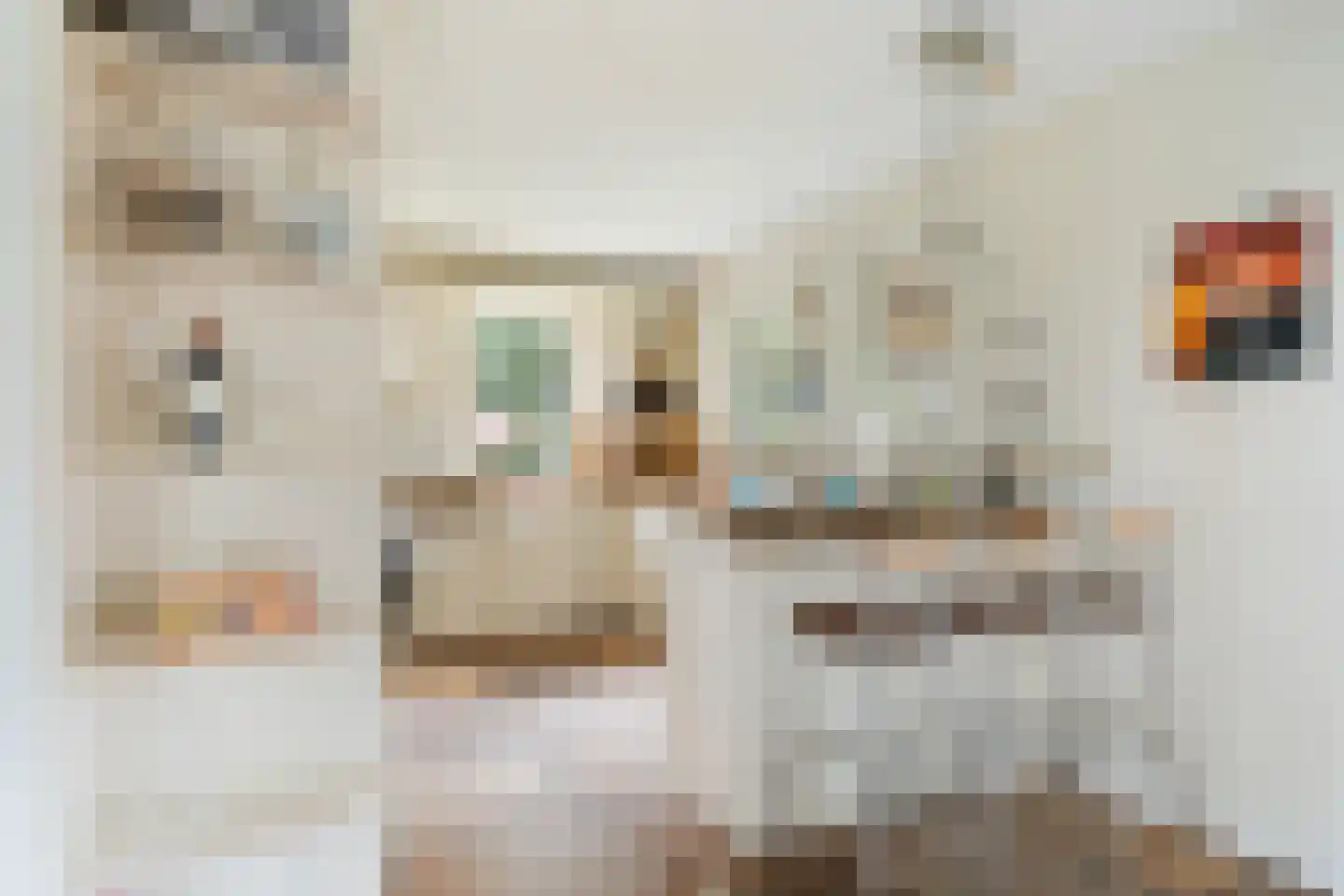 Zuideindseweg 66 Delfgauw thumbnail 17