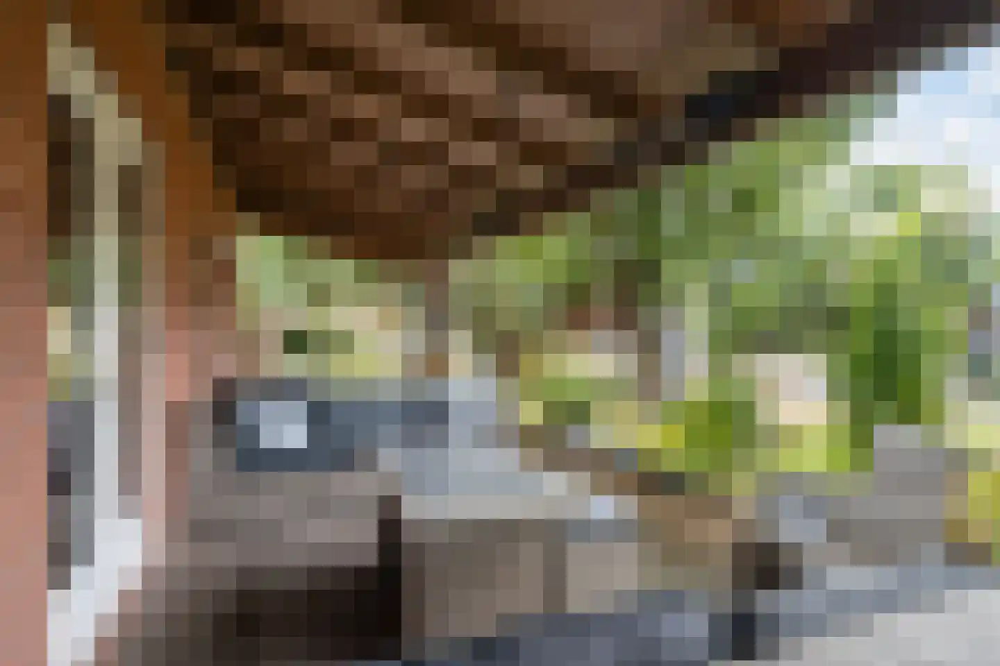 Zuideindseweg 66 Delfgauw thumbnail 21
