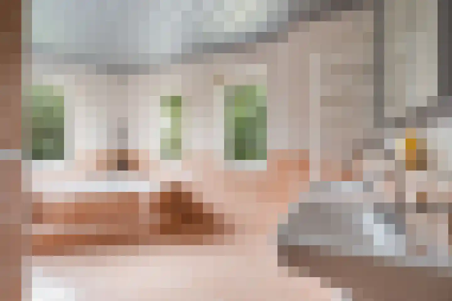 Zuideindseweg 66 Delfgauw thumbnail 27