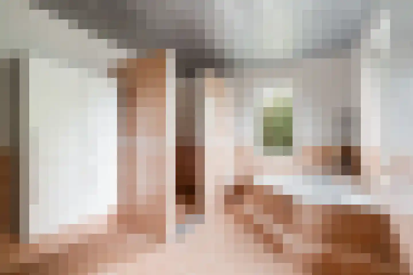 Zuideindseweg 66 Delfgauw thumbnail 28