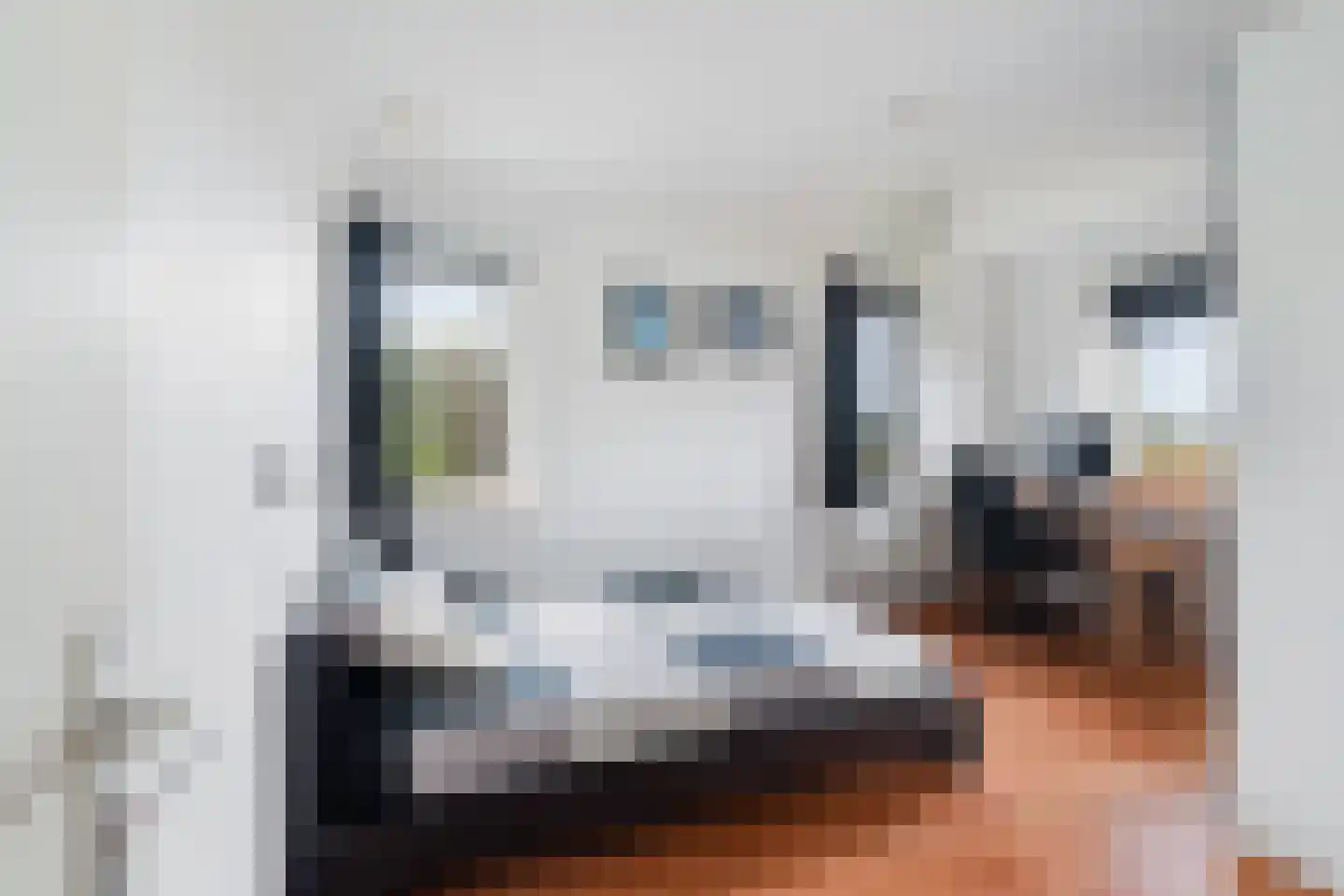 Zuideindseweg 66 Delfgauw thumbnail 29