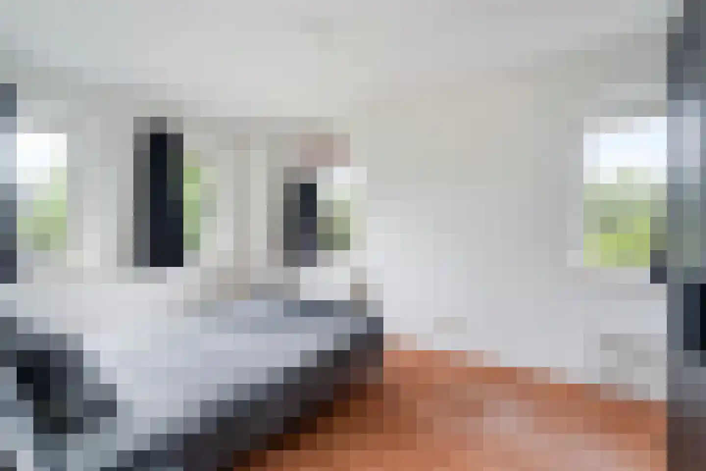 Zuideindseweg 66 Delfgauw thumbnail 30