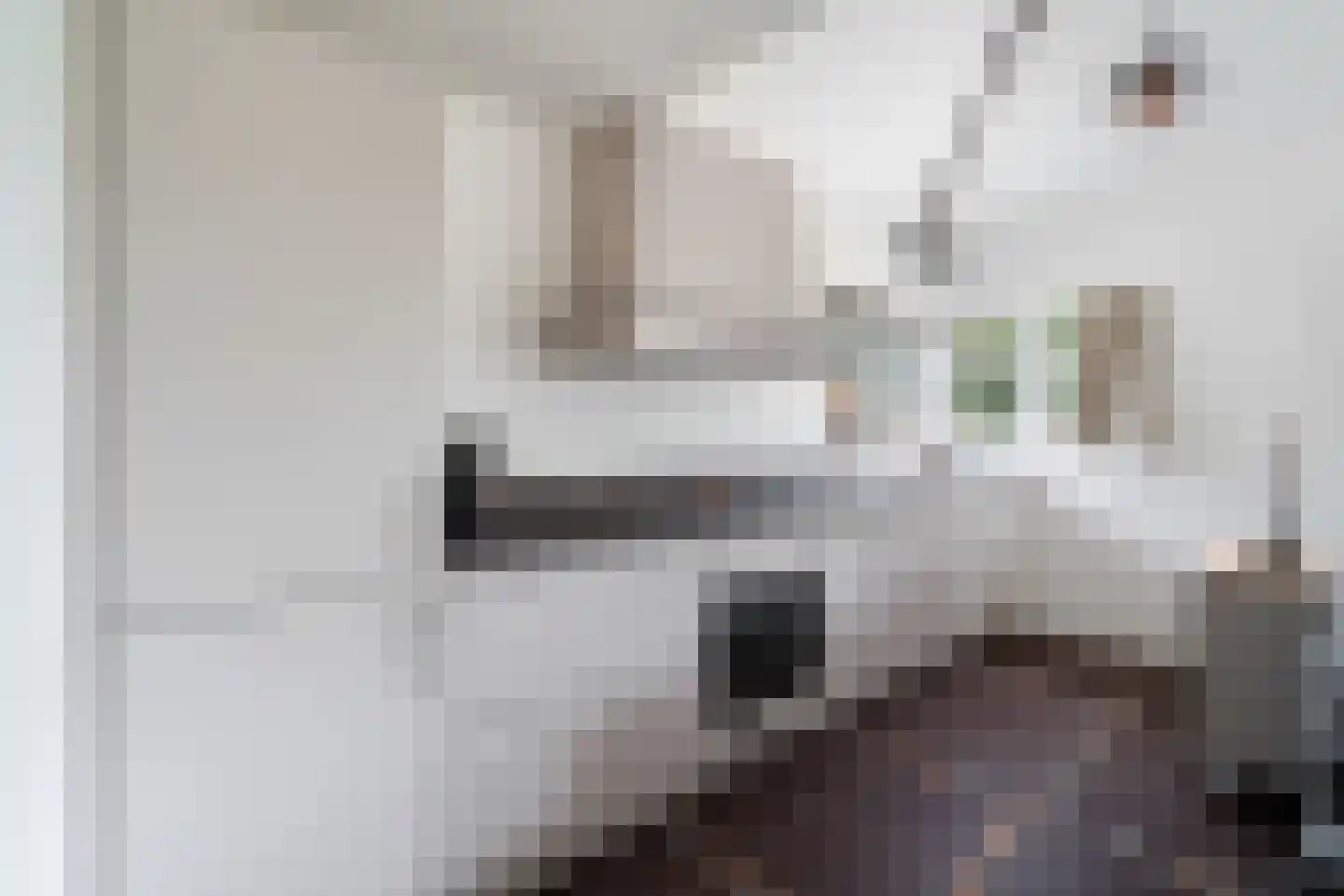 Zuideindseweg 66 Delfgauw thumbnail 38