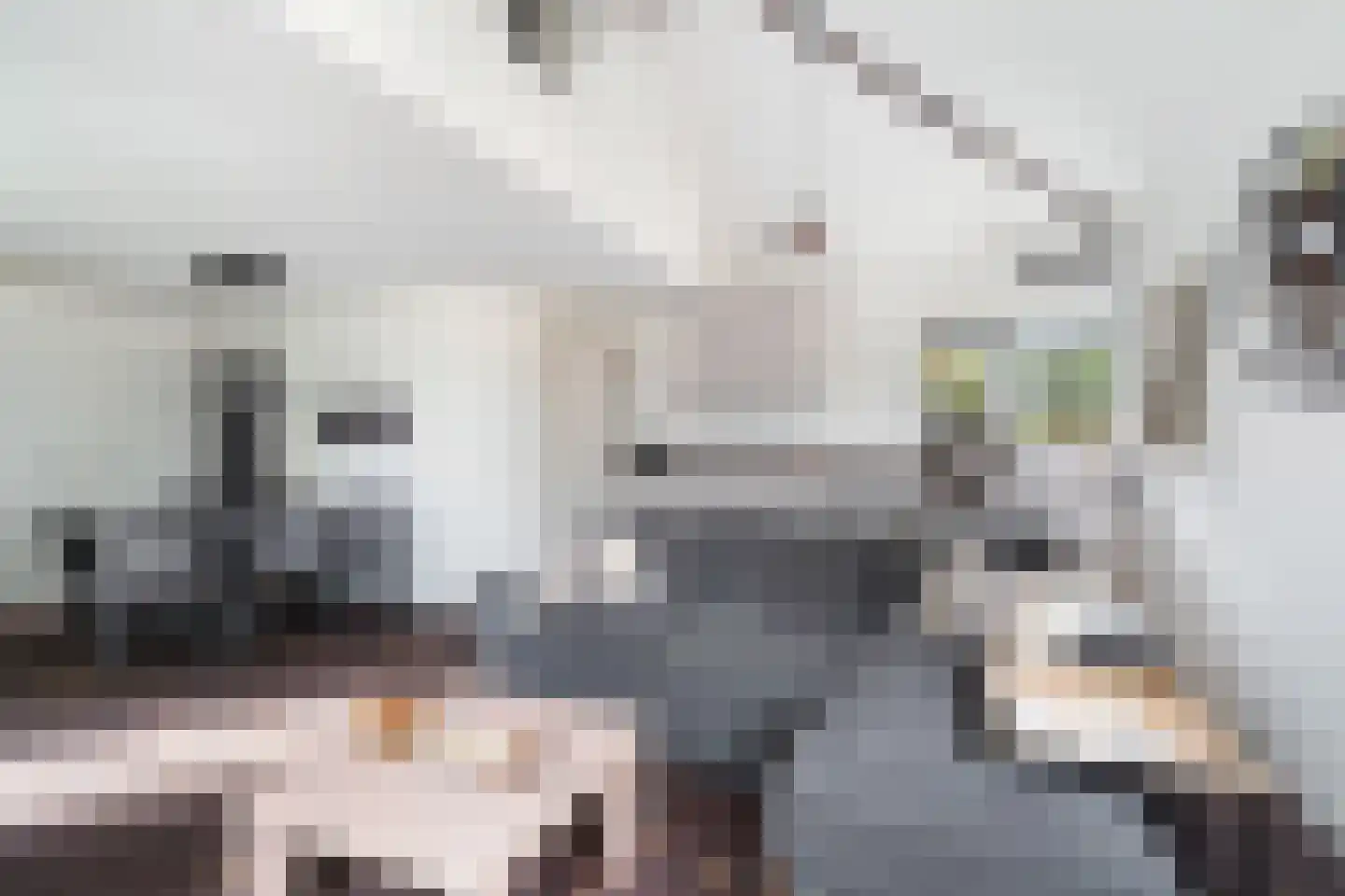 Zuideindseweg 66 Delfgauw thumbnail 41