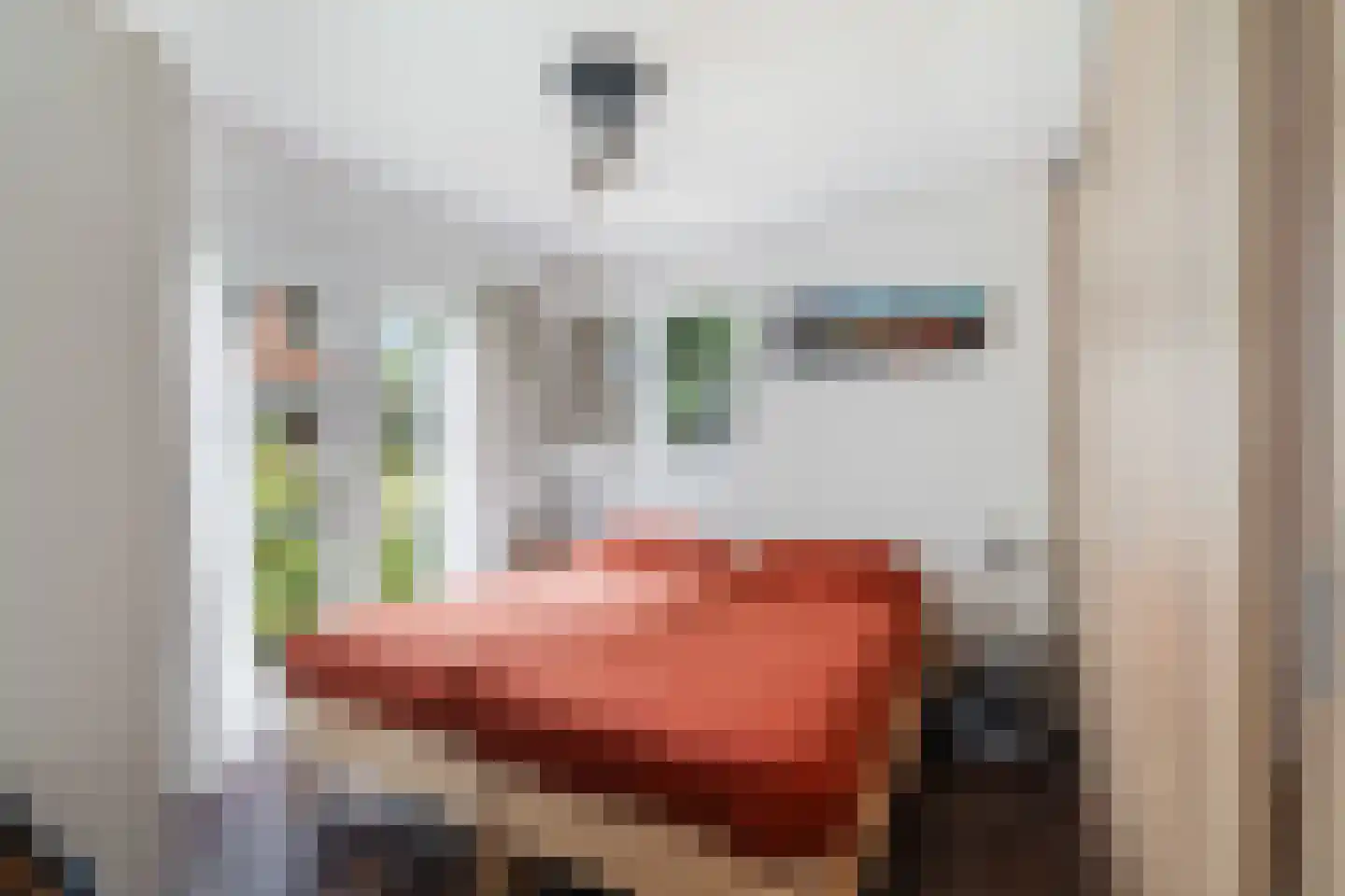 Zuideindseweg 66 Delfgauw thumbnail 42