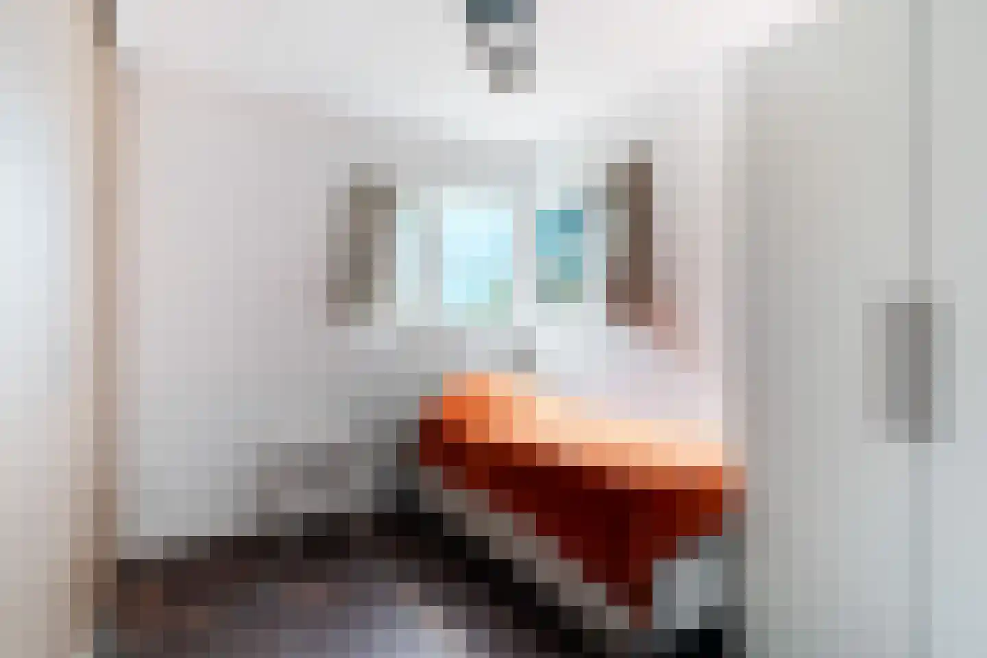 Zuideindseweg 66 Delfgauw thumbnail 43