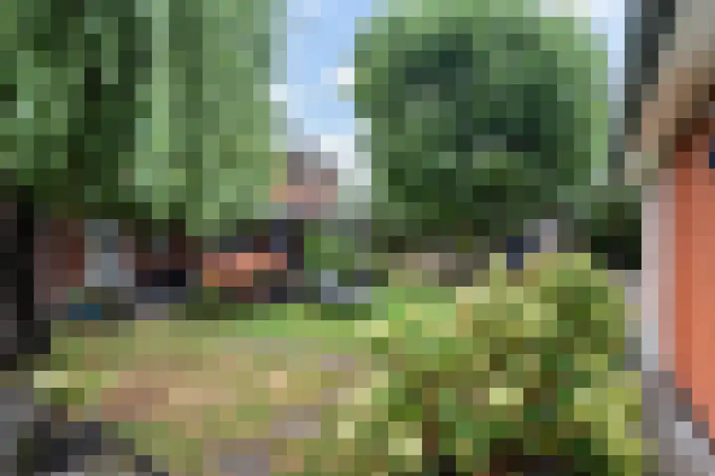 Zuideindseweg 66 Delfgauw thumbnail 48
