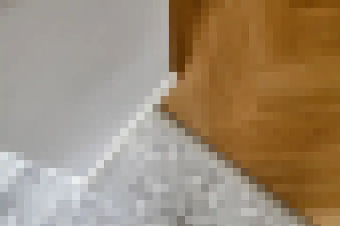 Zuideindseweg 86 Delfgauw thumbnail 11