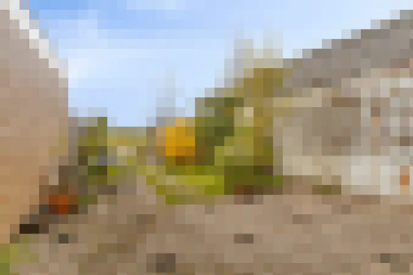 Zuideindseweg 86 Delfgauw thumbnail 22