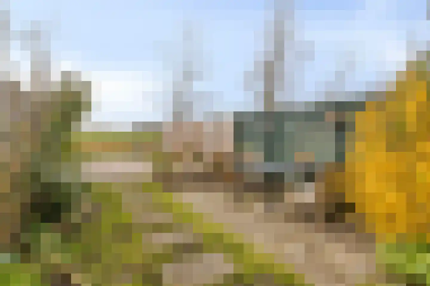 Zuideindseweg 86 Delfgauw thumbnail 23