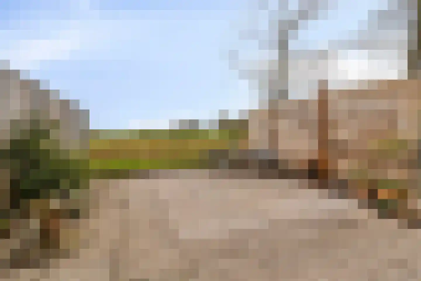 Zuideindseweg 86 Delfgauw thumbnail 24