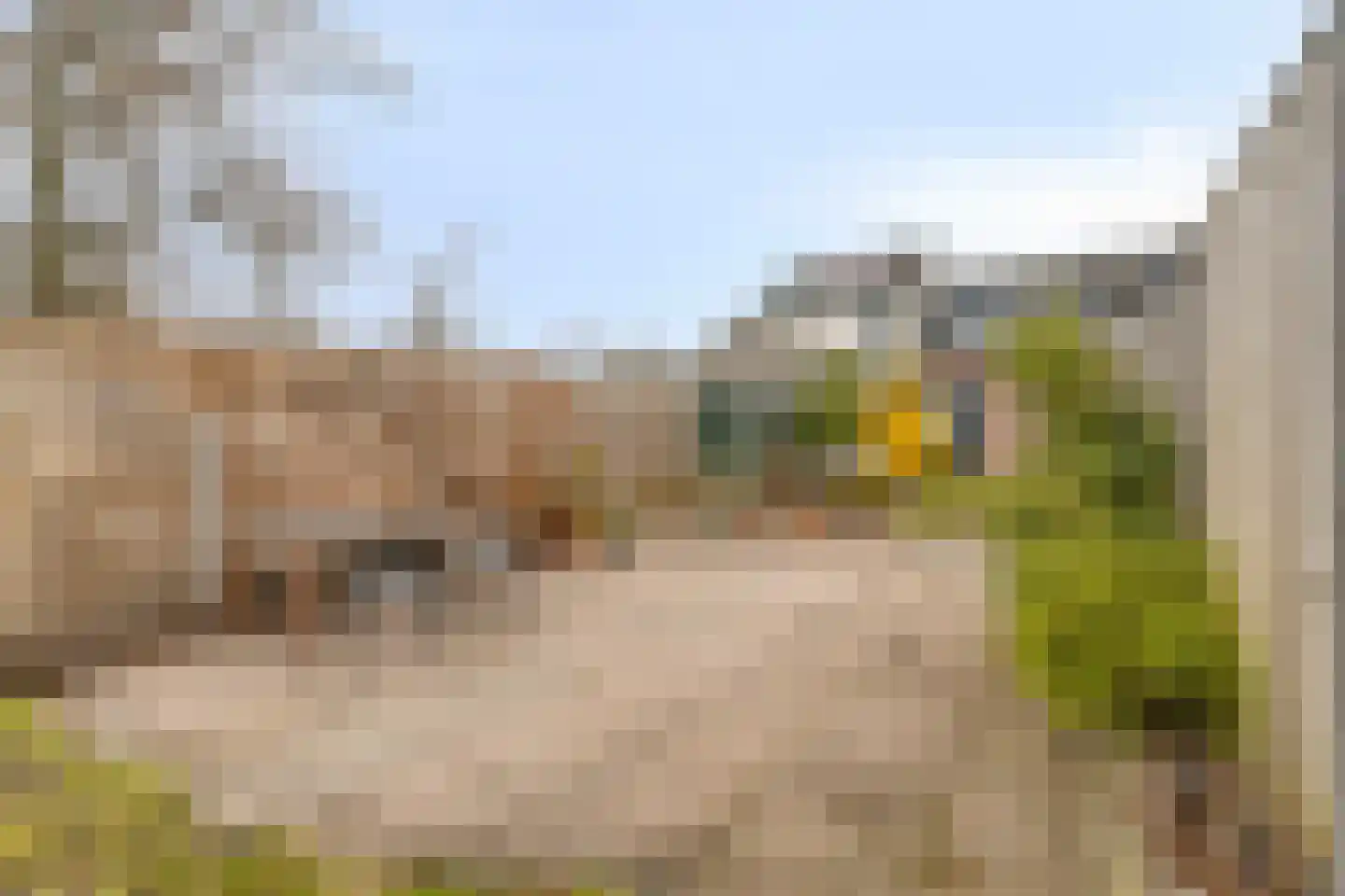 Zuideindseweg 86 Delfgauw thumbnail 25