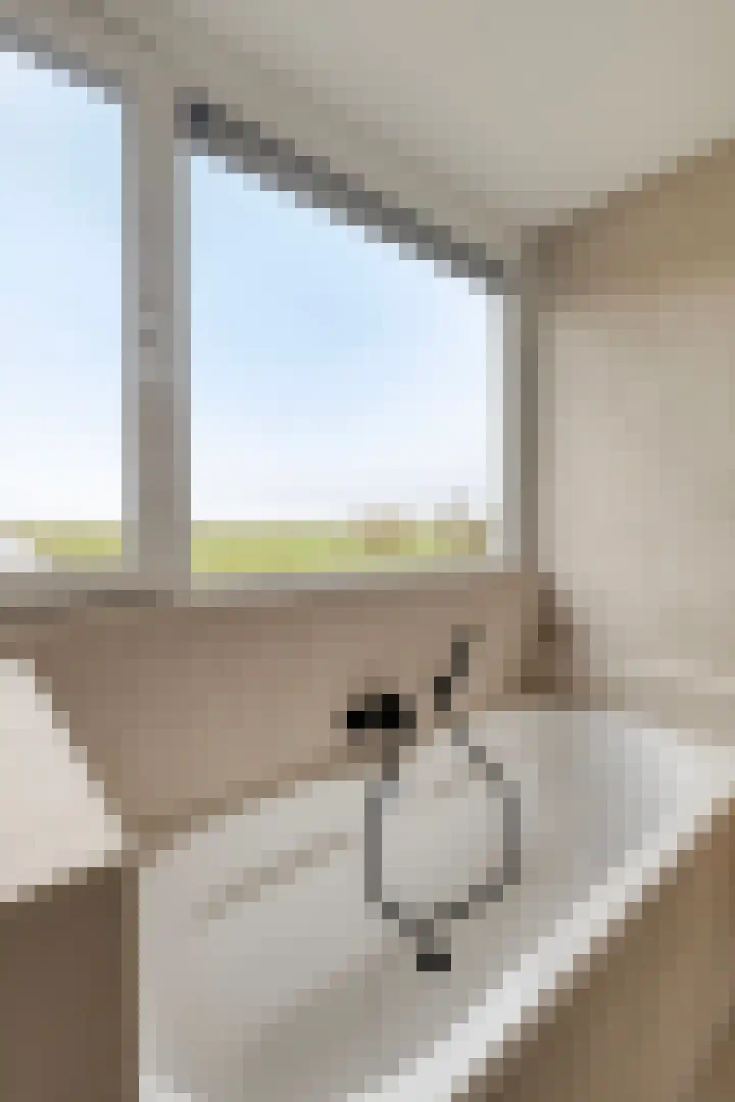 Zuideindseweg 86 Delfgauw thumbnail 35