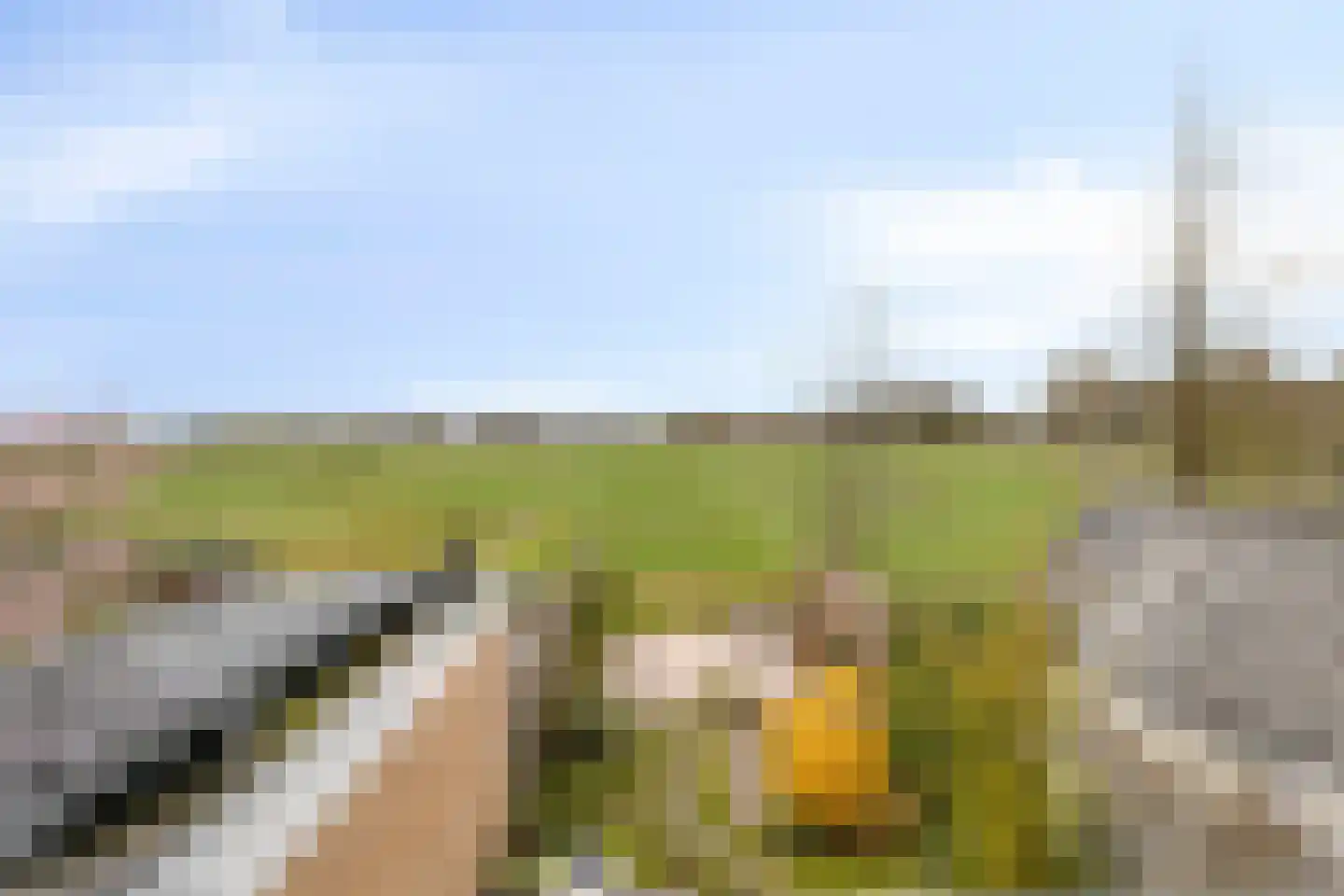 Zuideindseweg 86 Delfgauw thumbnail 37