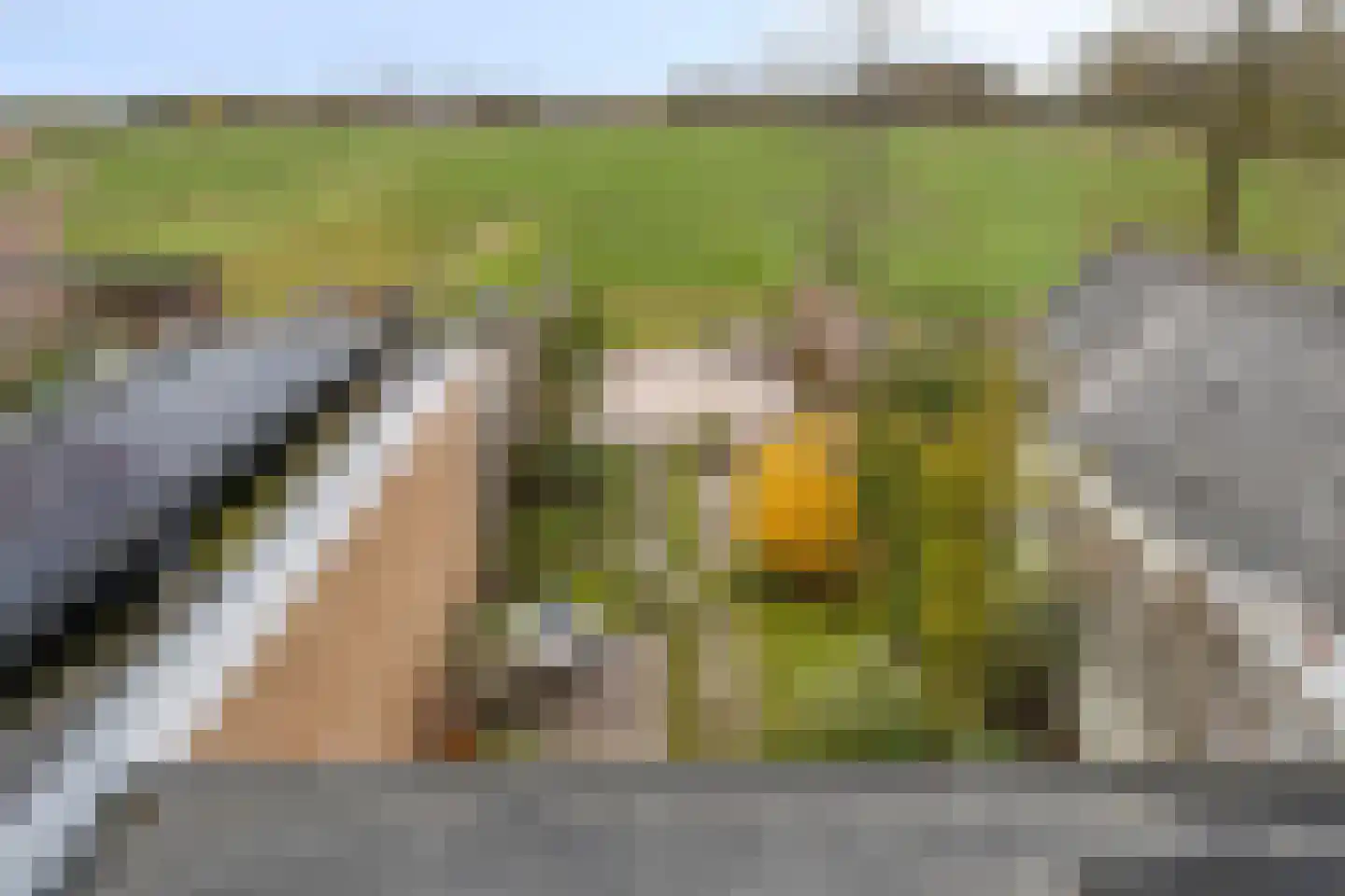 Zuideindseweg 86 Delfgauw thumbnail 38