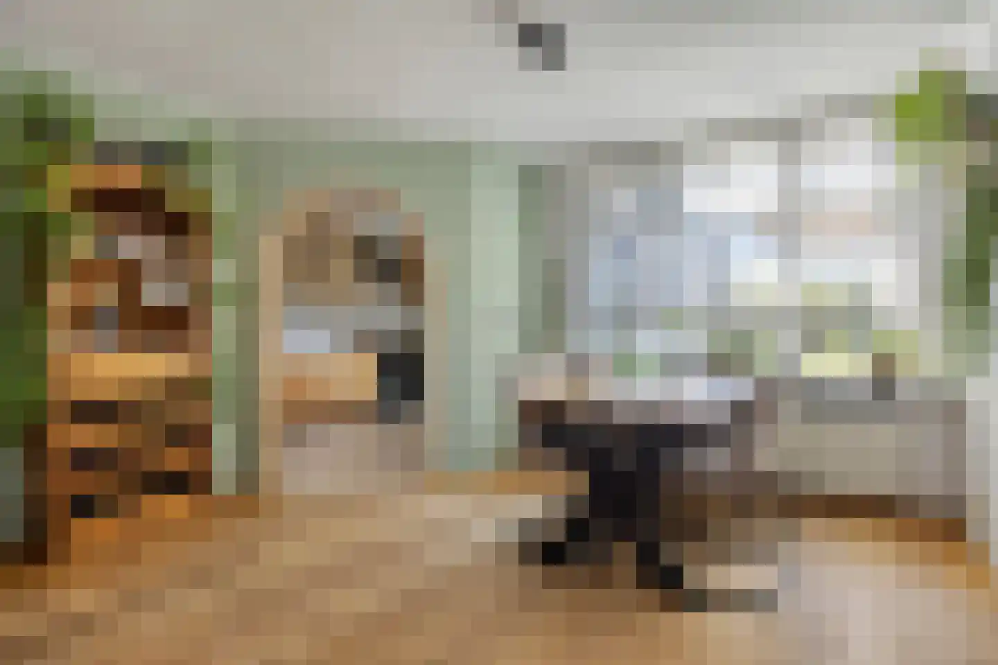 Zuidelijke Achterweg 10 Nieuwe-Tonge thumbnail 11